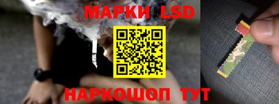 дживик Можга