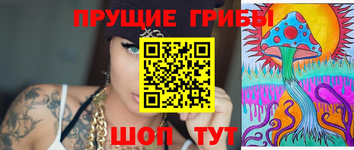 Псилоцибиновые грибы GOLDEN TEACHER Губкинский