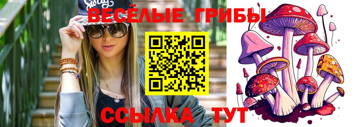 Псилоцибиновые грибы Psilocybine cubensis Губкинский