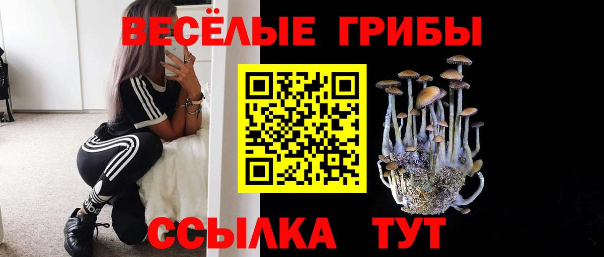 Псилоцибиновые грибы мицелий  Вход с VPN  Галлюциногенные грибы MAGIC MUSHROOMS  Губкинский 